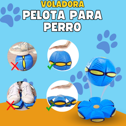 Pelota Voladora Con Luces Mascotas - Flyball™ (PROMO 2X1)
